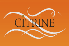 Citrine Hotel, Bangalore, Luxury Hotel Services