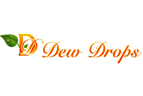 Hotel Dew Drops, Bangalore, Luxury Hotel Services