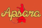 Apsara Restaurant & Caterers, Delhi, Indian Restaurants