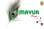 Mayur Enterprises, Bangalore, 