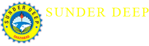 Sunderdeep Engineering College, DELHI, Engineering College in DELHI