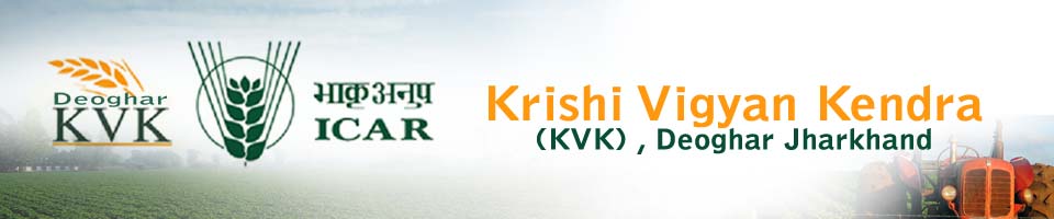 http://kvkdeoghar.gov.in/, http://kvkdeoghar.gov.in/