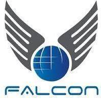 Falcon Freight Link PVT.LTD, Delhi, custom house agent, custom clearance ,freight forwarding