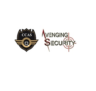 Avenging Security PVT LTD., Jaipur, Seo Consulting Services, Local Seo Company