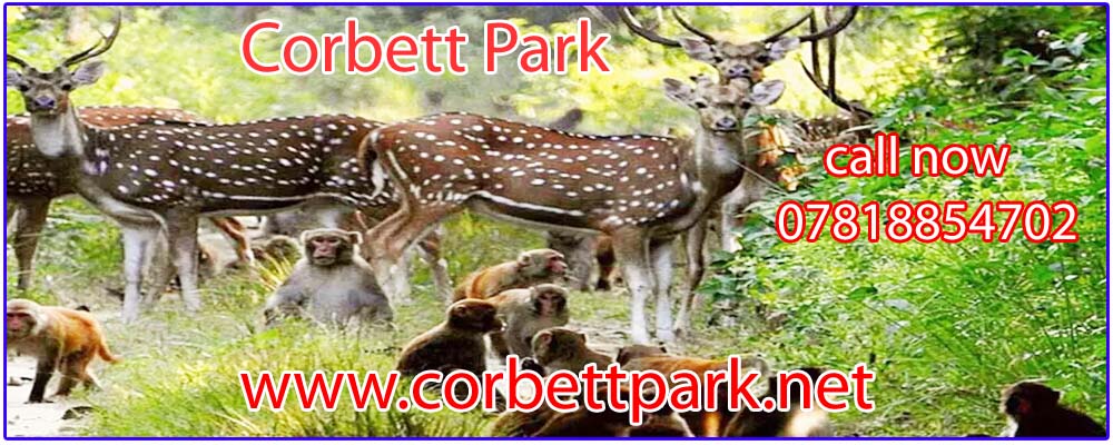 Corbett National Park, Rmanagar Nainital, Uttarakhand